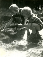 38