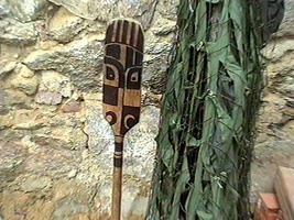 rapa pdlo