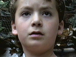 vojtisek