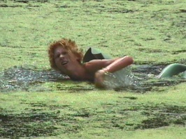 kroko1