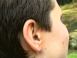 ucho