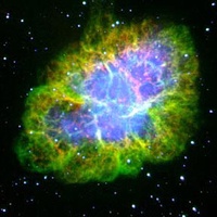 0052 optical lg