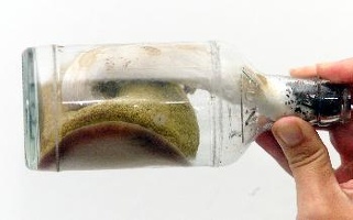 hribek