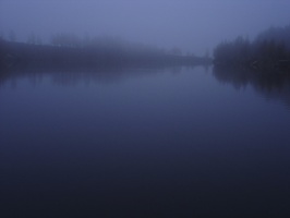 DSC02919.jpg
