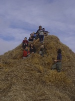 DSC07692.jpg