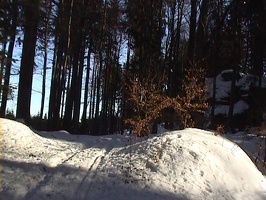 02.jpg