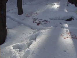 06.jpg