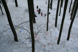 IMG_2566.JPG