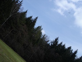 DSC01725.JPG
