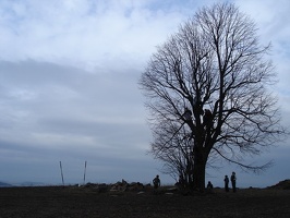 DSC01851.JPG