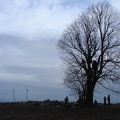 DSC01851.JPG