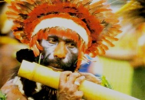 pipe1.jpg
