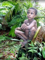 pururambo2126.jpg