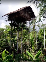 pururambo2136.jpg