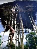 pururambo2137.jpg
