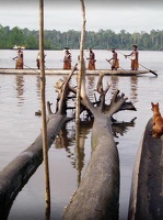 pururambo2149.jpg