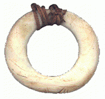 shellsh.gif