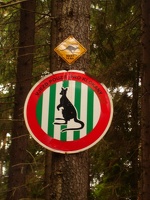 DSC08289.JPG
