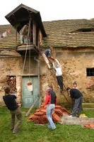 IMG_4851.jpg