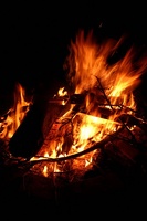 IMG_4889.jpg