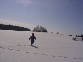 06.jpg