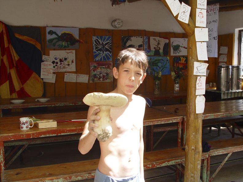 DSC07976.jpg