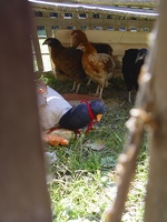DSC07993.jpg