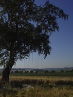 DSC08217.jpg