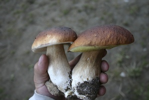 IMG_9494.jpg