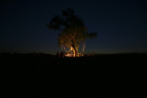 IMG_9539.jpg