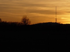 DSC01422.JPG
