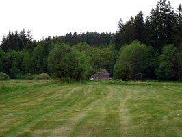 DSC02054.jpg