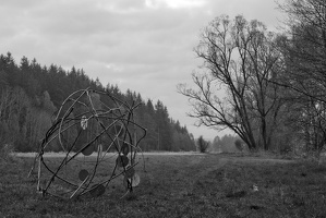 DSC_0038.jpg
