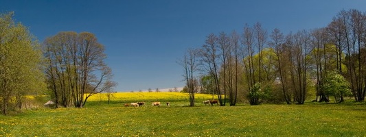 DSC_0079.jpg