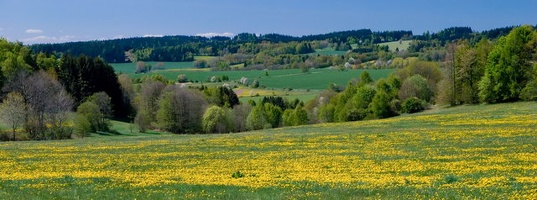 DSC_0098.jpg
