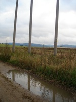 DSC04598.JPG