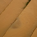 DSC04664.JPG