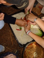 DSC07208.jpg