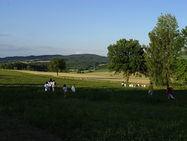 DSC07937.jpg