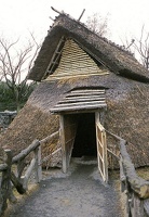 JAPAN08.jpg