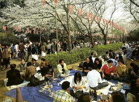 JAPAN45.jpg