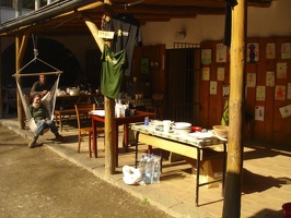 DSC08181.jpg