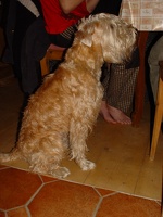 DSC01444.jpg