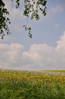 DSC_5603.jpg