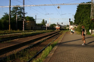IMG_4453.jpg