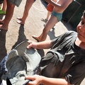 DSC_6649.jpg