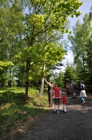 DSC_0203.jpg