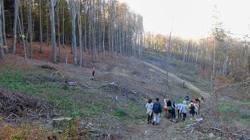 karpaty 20