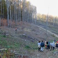 karpaty_20.jpg