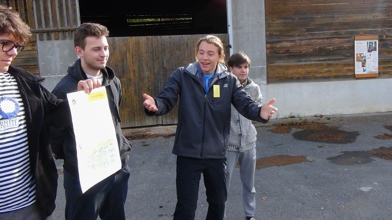 karpaty_51.jpg